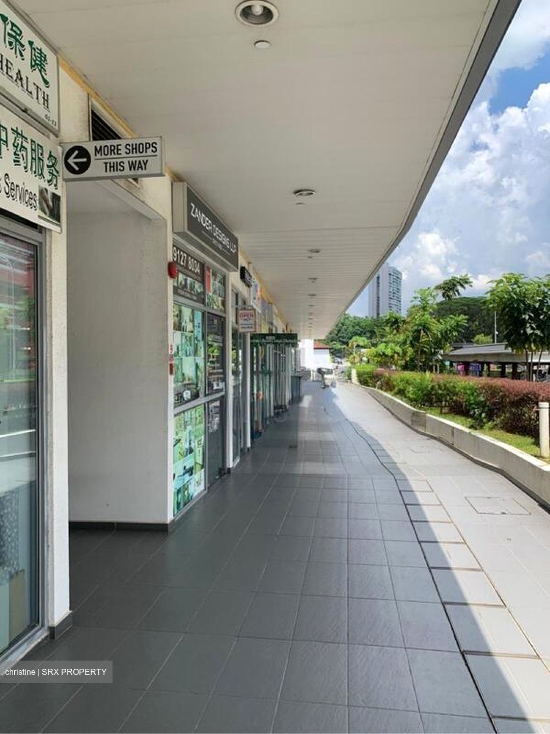 Suites @ Bukit Timah (D21), Shop House #507293911